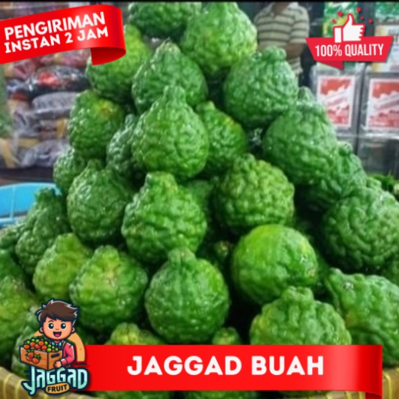 

Jeruk Purut asli 1 kg / jeruk purut / Bumbu dapur / herbal JAGGAD FRUIT