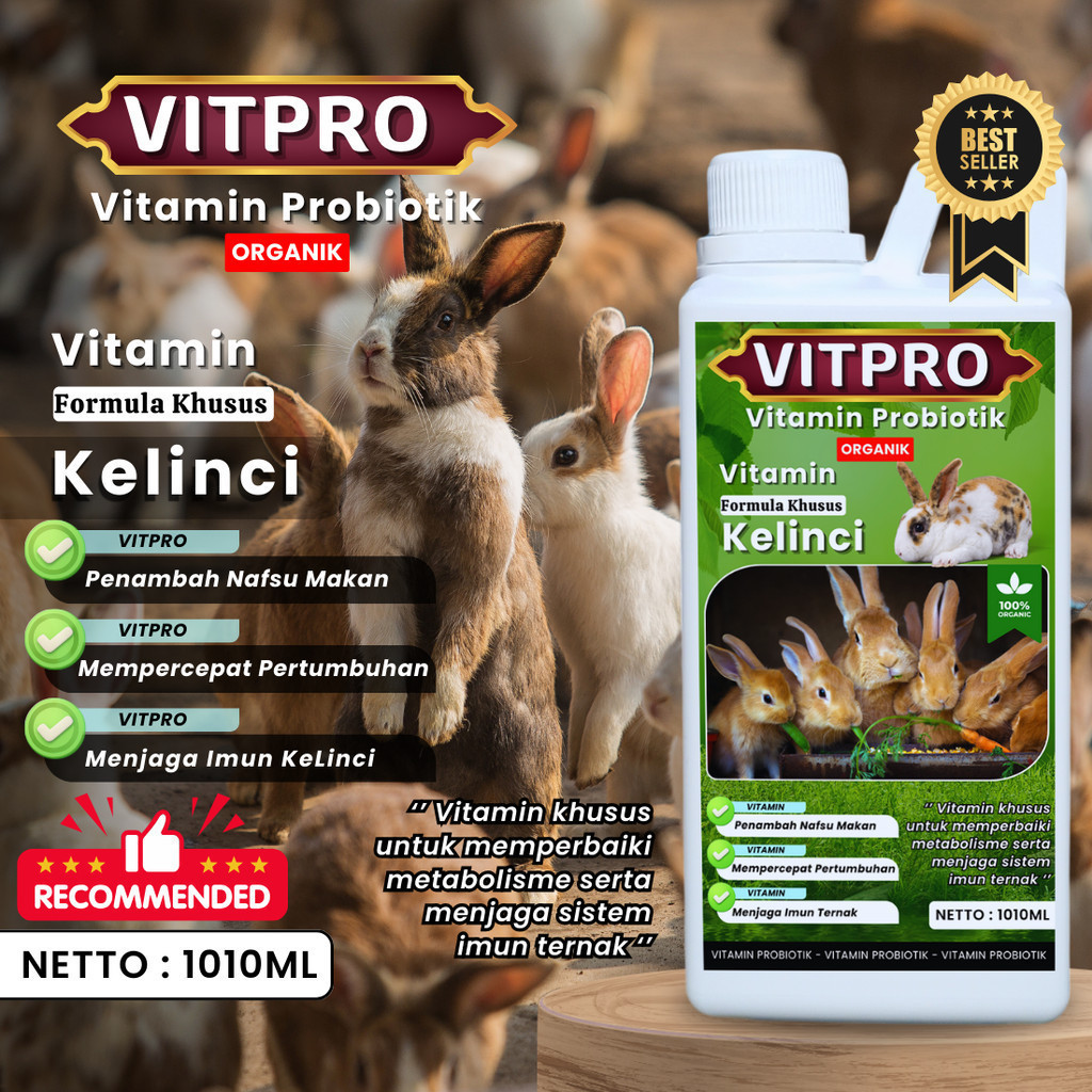 COD VITPRO Vitamin Probiotik Vitamin Suplemen Kelinci Hias Anggora Fuzzy Lop Holland Netherland Dwar