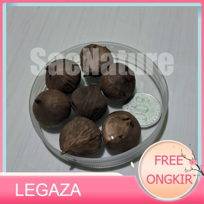 

BLACK GARLIC Bang Putih Hitam Tunggal Premium 125 Gram - Jumbo - Legaza