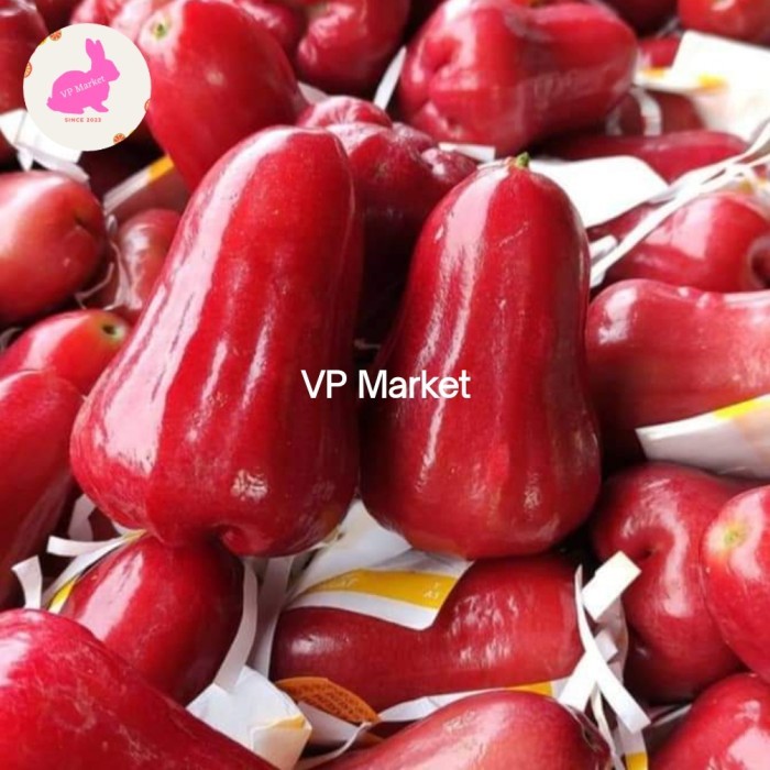 

Jambu Cincalo Merah Super | 500g