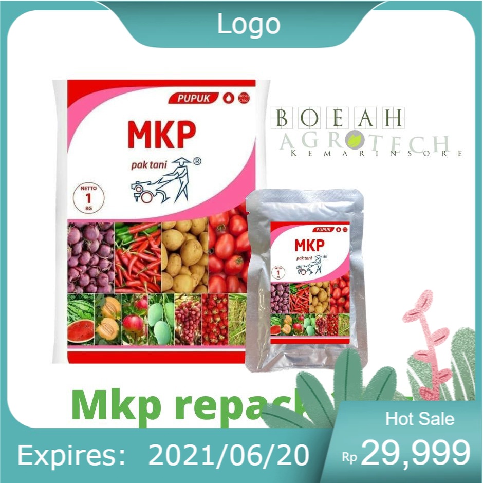 Pupuk MKP ( Mono Kalium Posphate) Repack 25 g untuk Merangsang Pembuahan dan Mencegah Kerontokan Bunga dan Buah