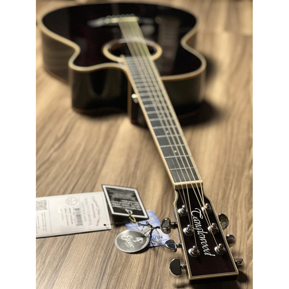 Tanglewood TW4 E BS Winterleaf Black Shadow Gloss