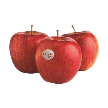 

Apel Envy New Zealand [0.9-1.1 kg/3-4 pcs]