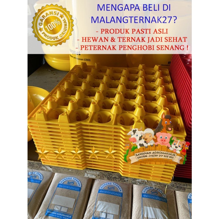 egg tray besar keranjang telur bebek ayam petelur layer horen
