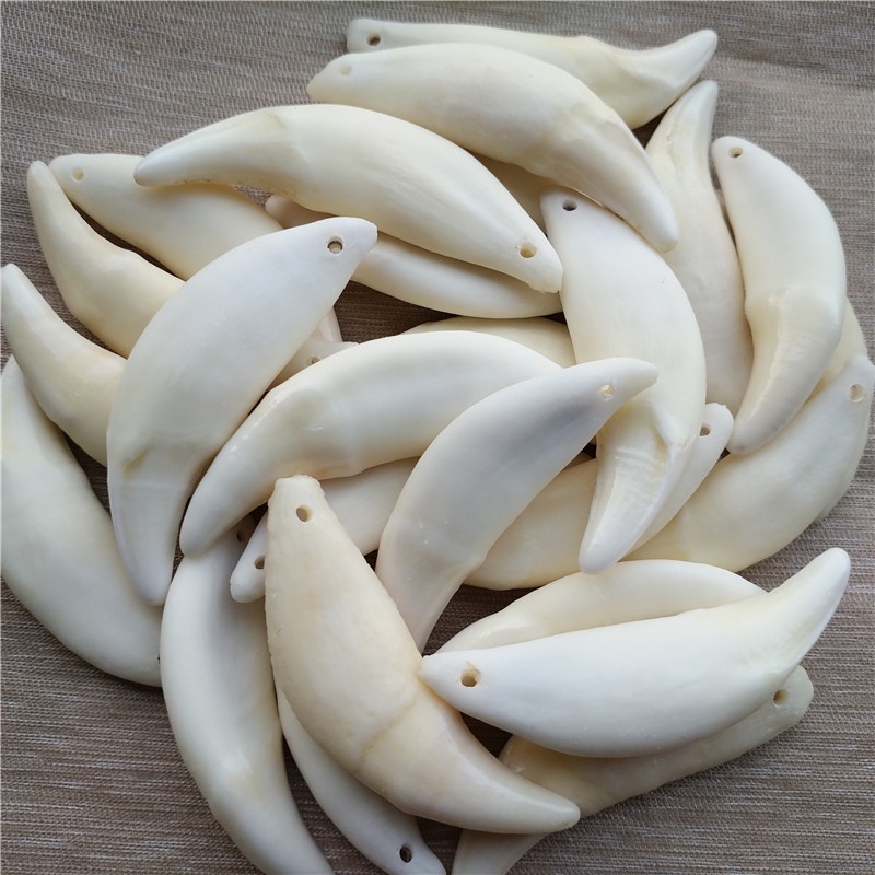 Taring Asli - Bandul - Liontin Taring - Taring Tulang Asli- Solo Galeri Buku