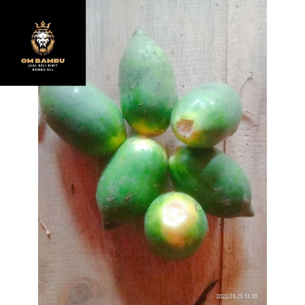 

promo buah pinang muda/hebal