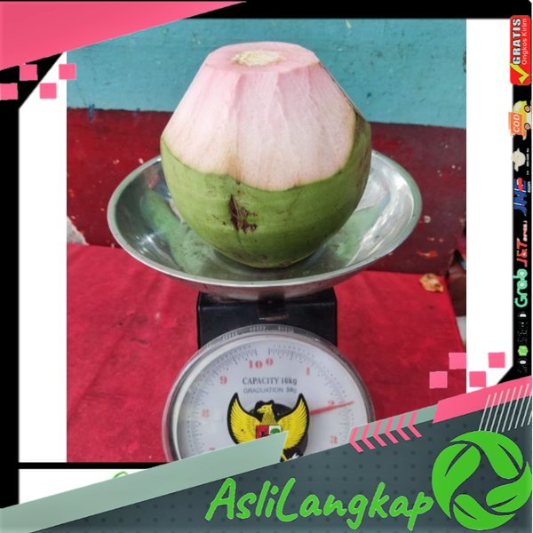 

KELAPA MUDA KELAPA HIJAU / BUTIR