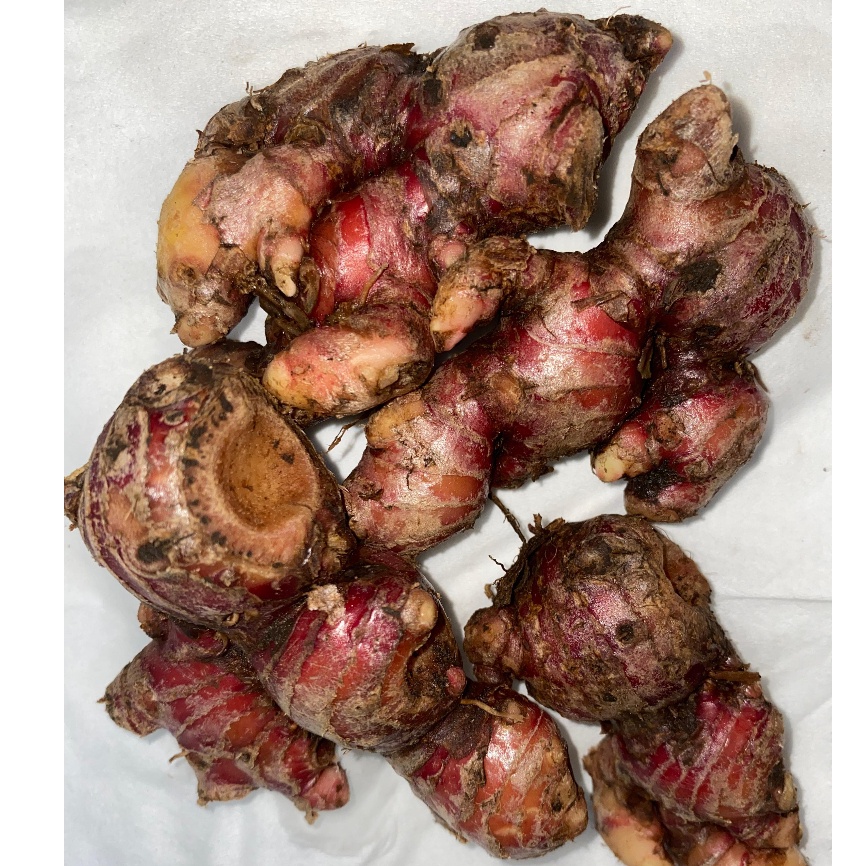 

Jahe Merah SUPER ( FRESH)