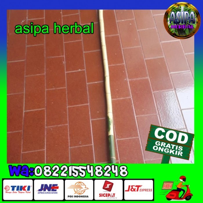 batang pohon waregu joran