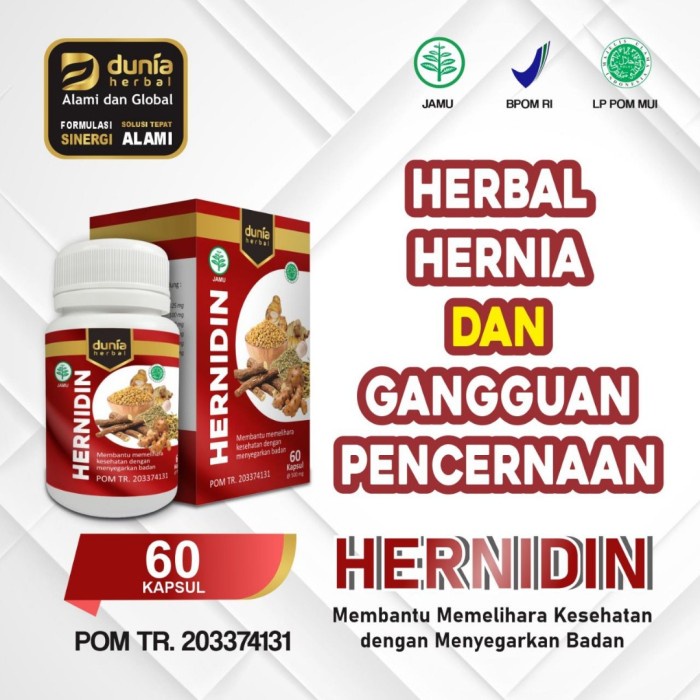 Obat Herbal Hernia Turun Berok Usus turun Ampuh Isi 60 Kapsul Bpom Hernidin