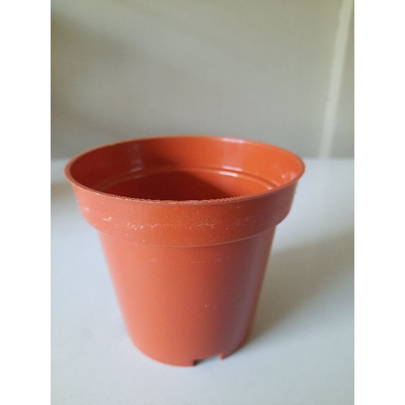 Pot sa 10 pot bibit WARNA