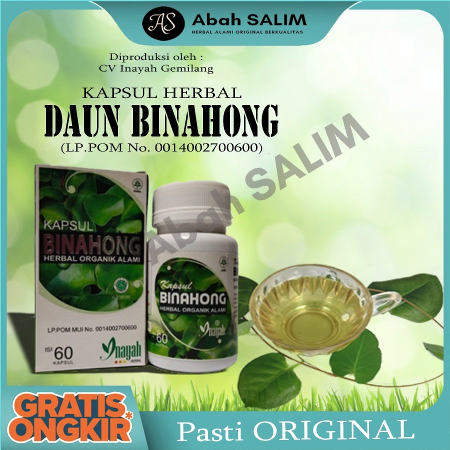 

Herbal Pencegah STROKE Kapsul Daun Binahong Inayah