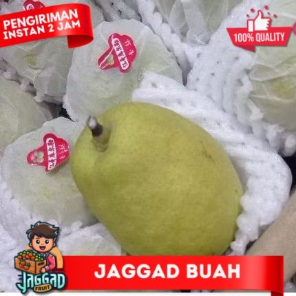 

Pear pir xianglie xiangli fragrant pir dus (7kg) JAGGAD FRUIT