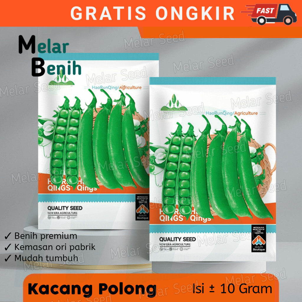 OM - BENIH KACANG POLONG BERKUALITAS KEMASAN PABRIK-BIBIT KACANG