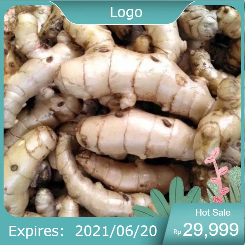 

KUNYIT putih fres 1000 gram kunyit putih , temu putih . curcuma , zedora , obat herbal
