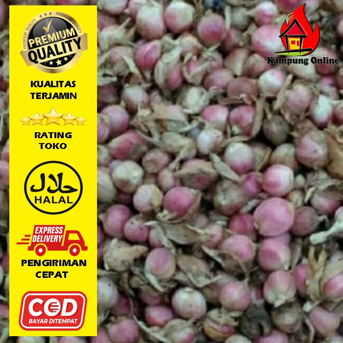 

kapulaga 1kg segar baru petik KAMPUNG ONLINE SUBANG