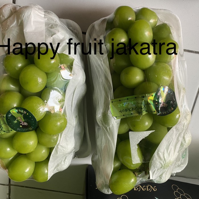 

Anggur muscat hijau premium jumbo |Buah anggur shine muscat manis 800g