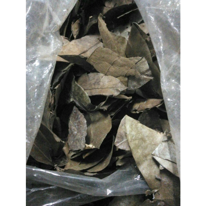 

100gr daun alpukat kering