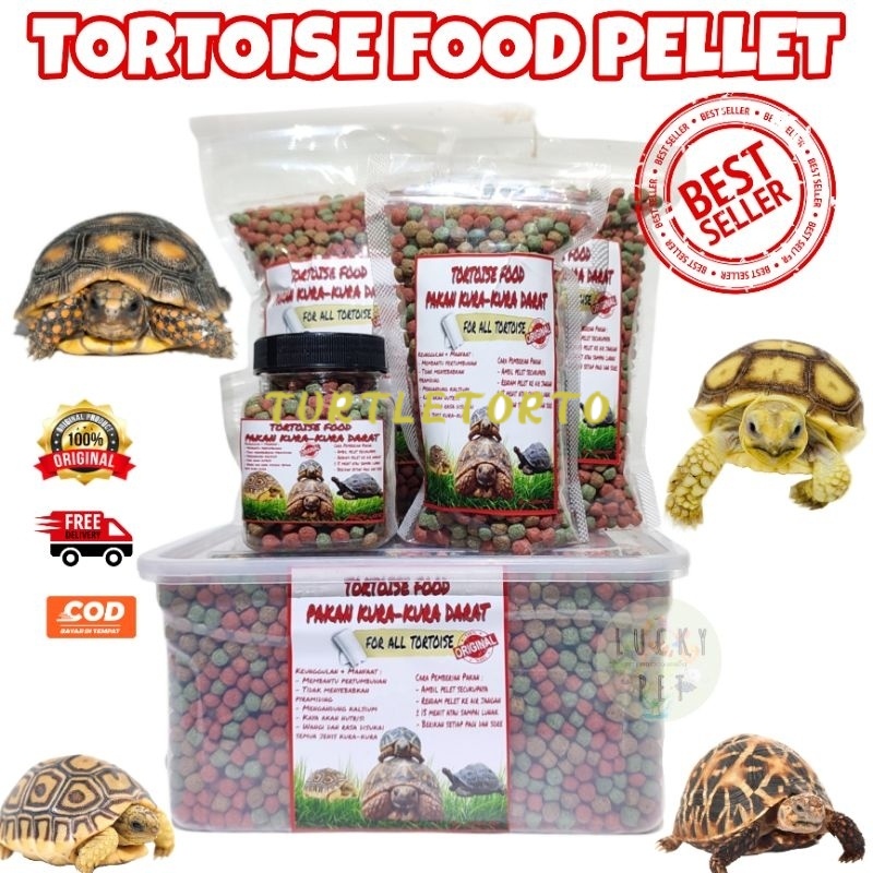 BEST Makanan pakan pelet kura kura darat sulcata sulkata pardalis indian star aldabra russian tortoi