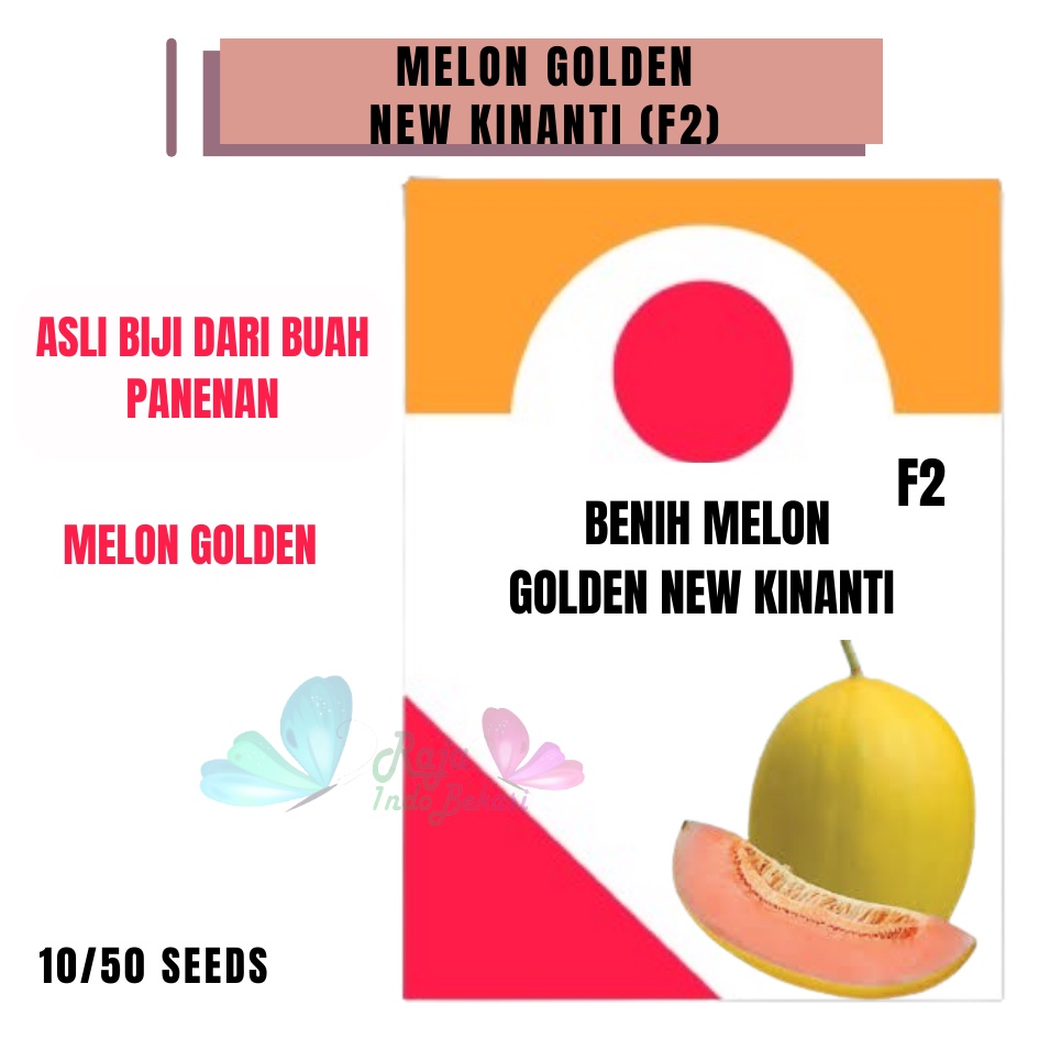 Asli Biji dari Buah Melon GOLDEN NEW KINANTI (F2) - Repack 10 50 Bibit / Benih Melon Golden Panenan 