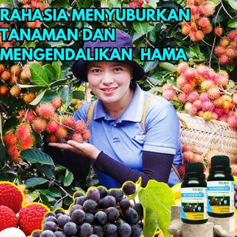 Pupuk perangsang Buah power v grow pupuk organik
