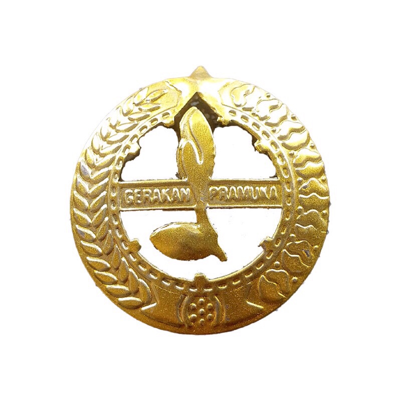 Pin Pembina Pramuka, Putra