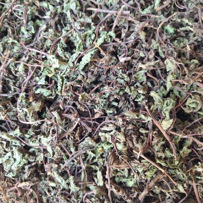 

Daun Mint Kering isi 100 gr