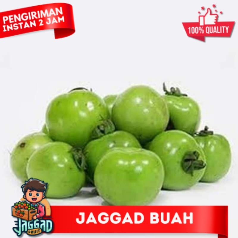 

Tomat Hijau Fresh Murah 1kg JAGGA FRUIT