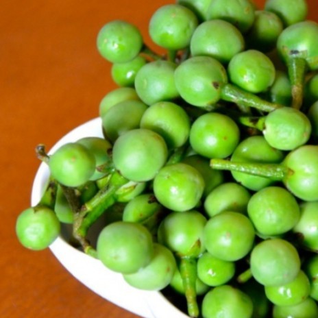 

1kg Buah Takokak Segar Tekokak terung pipit (solanum torvum)
