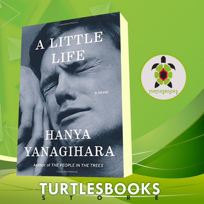A Little Life Hanya Yanagihara