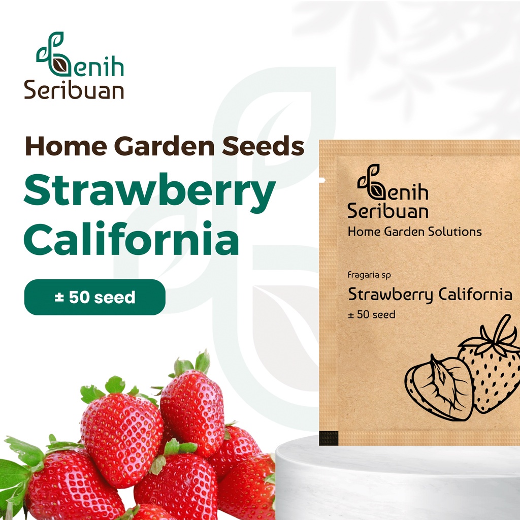 Benih Seribuan - Benih Buah Strawberry California Unggul
