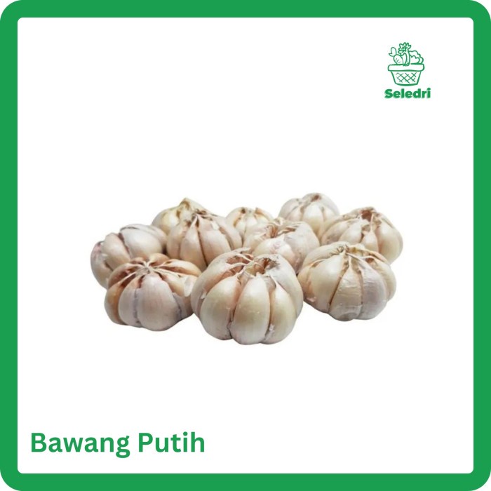 

Bawang Putih Honam / Sinco