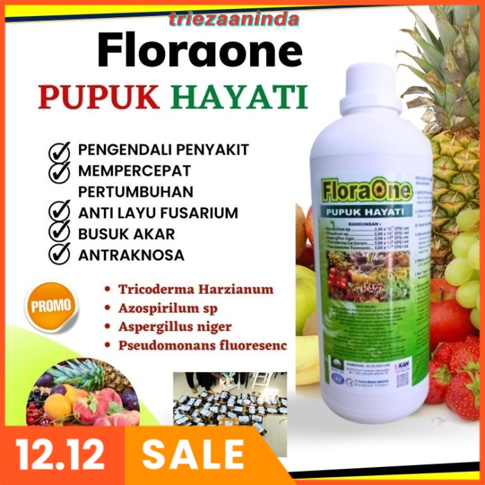 Tricoderma Fungisida Hayati Pupuk, Pupuk Hayati Trichoderma Trikoderma
