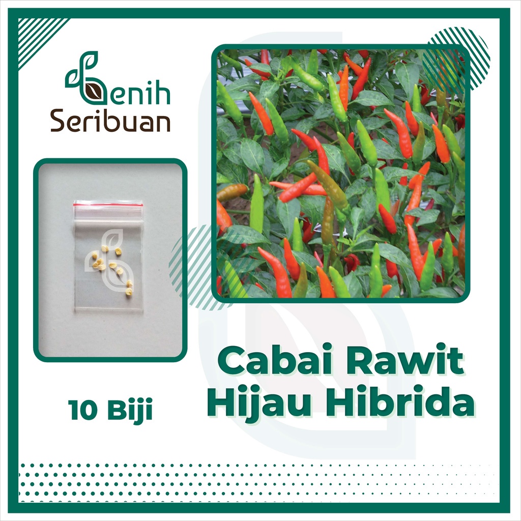 10 Bibit Cabe Rawit Hijau Hibrida F1 Hiter Benih Cabai Annum Super Sayuran Unggul Bintang Asia