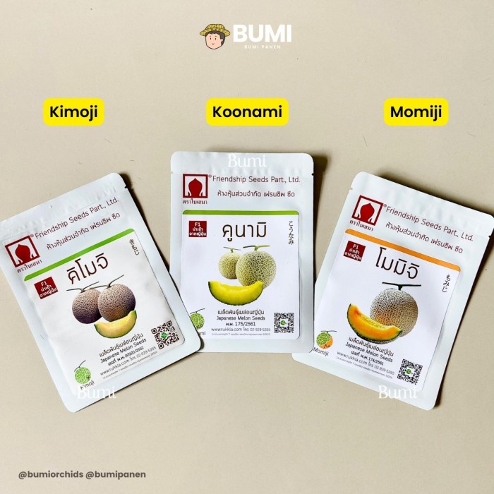 BUMI ORCHIDS Benih Biji Melon Kimoji Koonami Momiji - Panen F1 Premium Buah Jepang Thailand Original