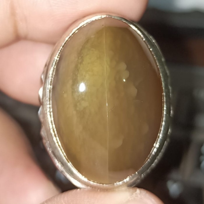 Cincin Batu Akik Pandan Semu Nanas Kapas Sutra Merah Lumut Oli Antik76