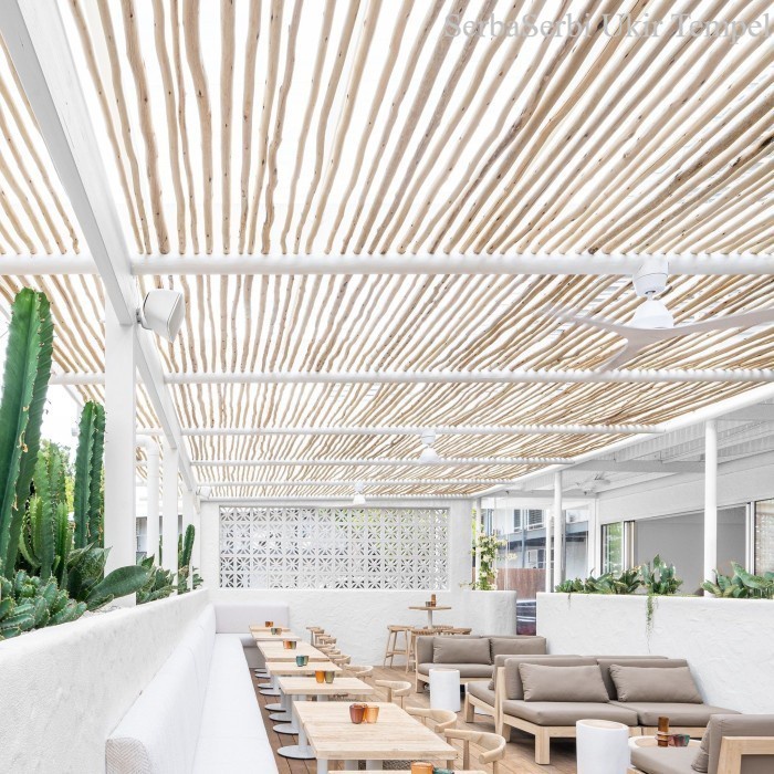 Ranting Kayu Jati Dekorasi Atap Gajebo Kape /300 cm / 10,Batang Random Termurah