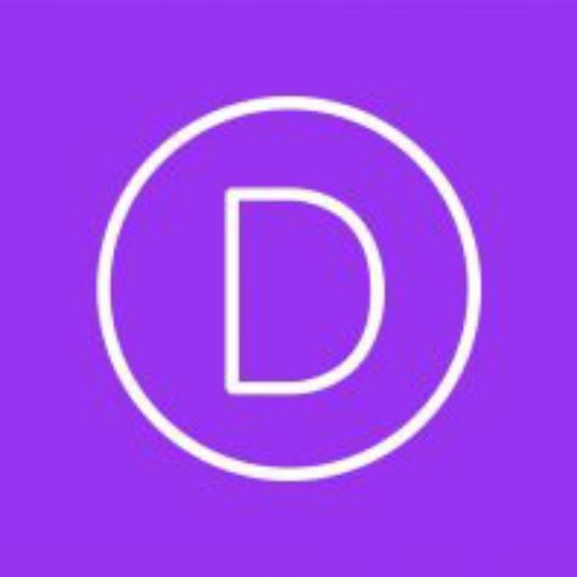 Wordpress Themes - Divi Lifetime API Key