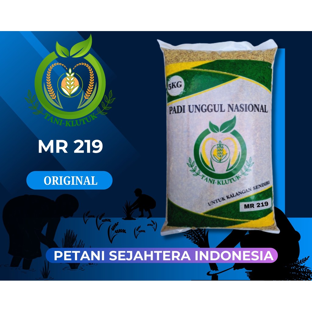 benih padi mr 219 5kg