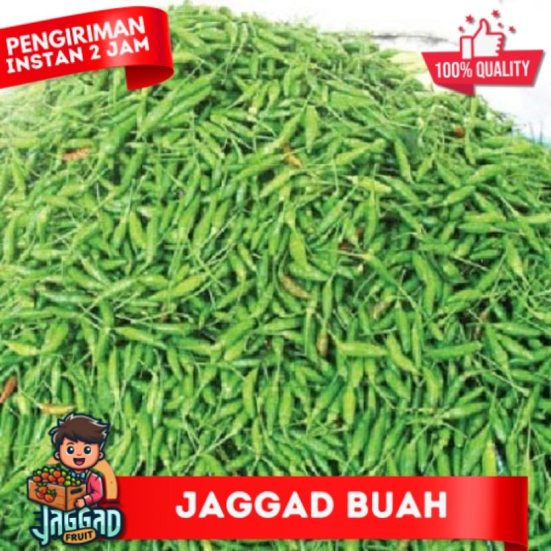

Cabe Rawit Hijau Fresh Murah 1kg JAGGA FRUIT