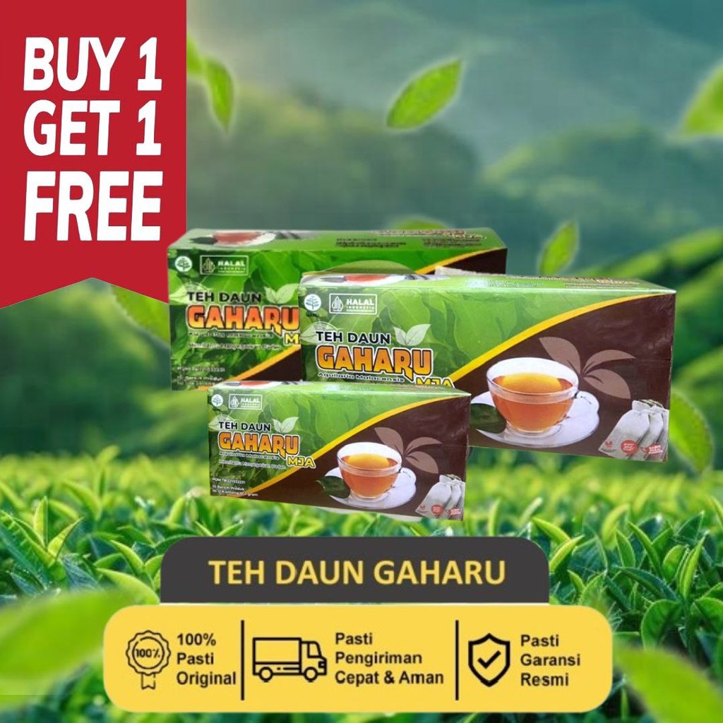 

BUY 1 GET 1 TERMURAH TERMURAHH TEH GAHARU MASINDO HARGA RESELLER