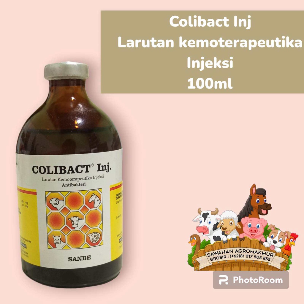 colibact injeksi antibiotik untuk sapi perah kambing domba kuda diare mencret pilek demam virus pmk 
