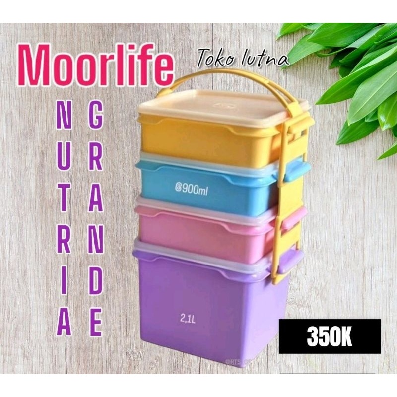 Rantang Nutria Grande Moorlife/Rantang 4 Susun Moorlife