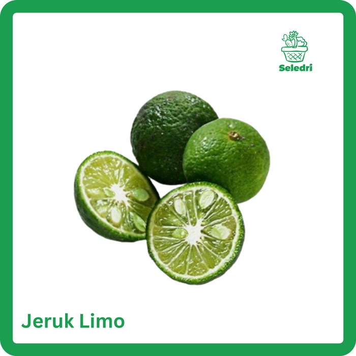 

Jeruk Limo buah Jeruk Limau