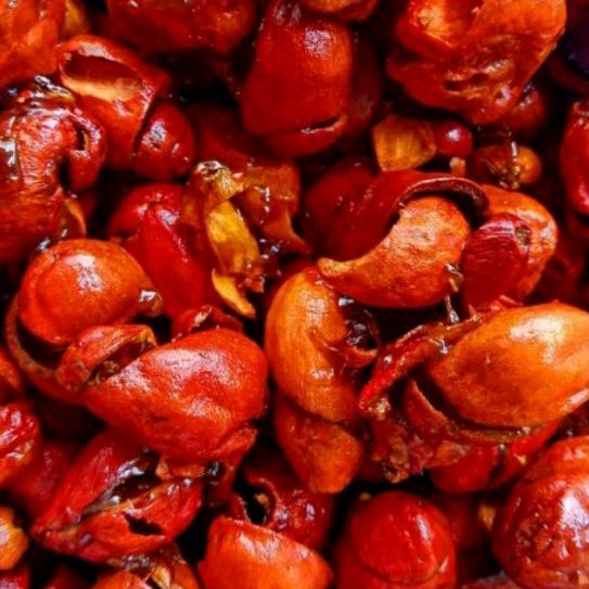 

kulit melinjo pedas manis 500gr kripik mlinjo pedas manis