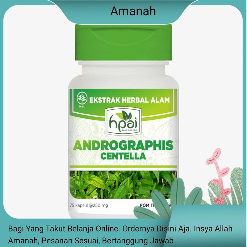 HNI HPAI ANDROGRPHIS CENTELLA