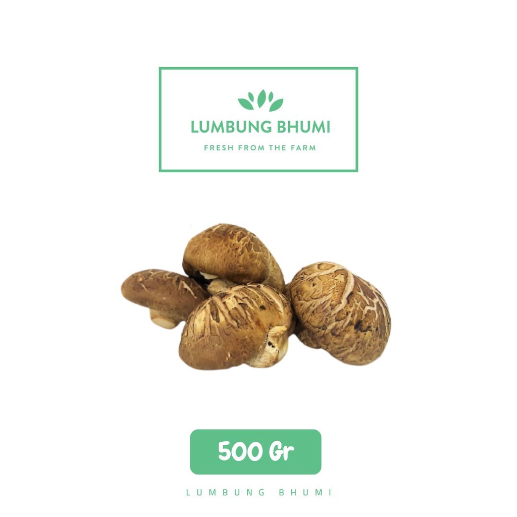 

Jamur Shitake Segar Sayur 500 Gr - Lumbung Bhumi