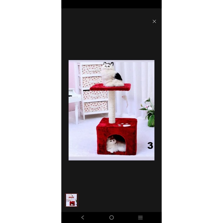 Cat Condo, Rumah Kucing interaktif rumah kucing isi 3 rumah+bonus kalung kucing ,rumah kucing brkual