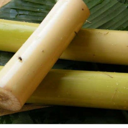 pelepah pisang/ gedebog pisang