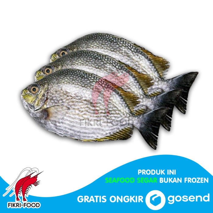 

Ikan Baronang Besar Segar isi 2-3 1kg